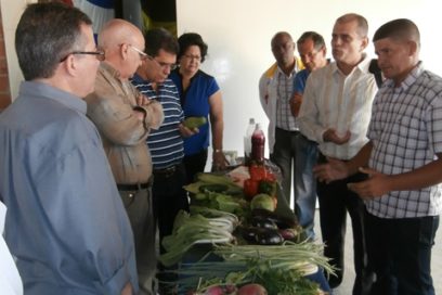 Cuba y Venezuela en un surco a cuatro manos