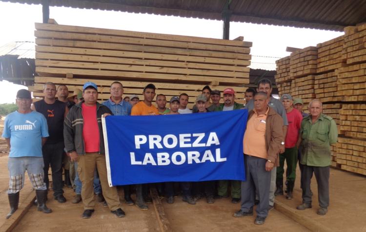 Trabajadores del aserrío de San Pedro de Mayabón exhiben con orgullo la Bandera de Proeza Laboral obtenida por la exitosa recuperación tras el paso del huracán Irma. Foto: Noryis