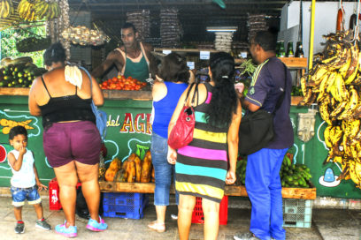 Por mercados agropecuarios: De todo como en botica