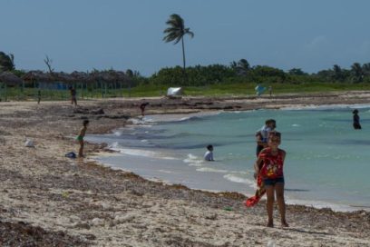 Día Mundial del Medio Ambiente: Proteger, cuidar… para sobrevivir