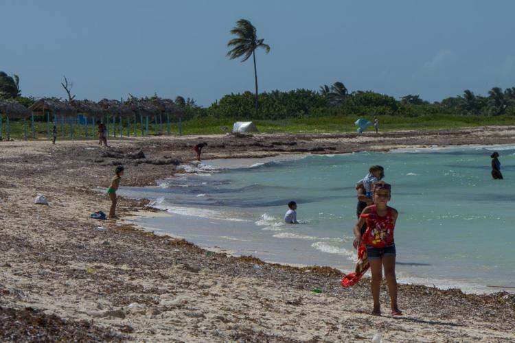 on el interés de proteger las playas se han construido 968 m de accesos adecuados por encima de la duna, con plataformas que limitan el impacto humano. |foto: Leandro Armando Pérez Pérez