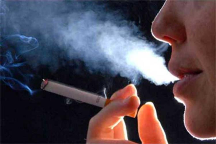 La Organización Mundial de la Salud prevé que el consumo del cigarro cause 450 millones de muertes en los próximos 50 años. Foto: Tomada del periódico 26