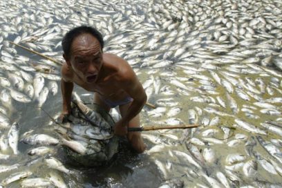 El mundo laboral ante el reto medioambiental