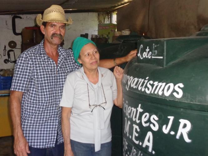 Del proceso de fermentación la pareja obtiene centenares de litros de la sustancia, que utiliza la agricultura urbana y suburbana como fertilizante. Foto: Lianet Suárez Sánchez