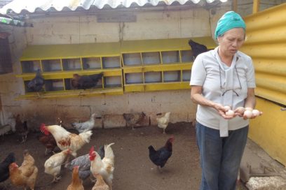 Lo particular de un patio