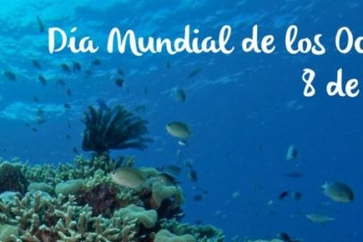 Día Mundial de los Océanos: Debemos esforzarnos para reducir significativamente la contaminación marina (+ Infografía)