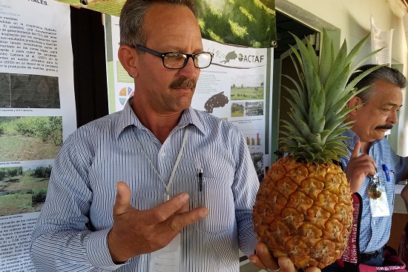 Agroecología: tecnología del siglo XXI