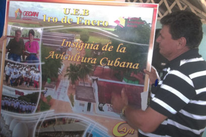 Avicultores avileños con gestión de excelencia