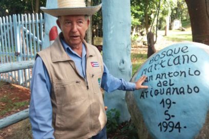 Felo (+ Video y Fotos)