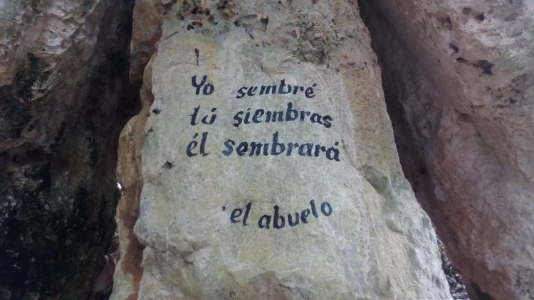 Para Felo el futuro de Cuba está en la tierra. Foto: De la autora