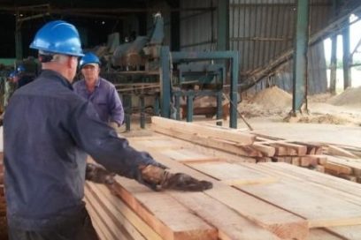 Obtienen 195 entidades trofeo Por las Sendas del Triunfo