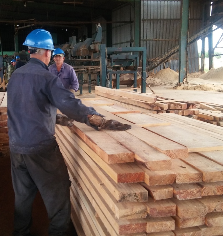 Al desempeño de trabajadores como los del aserradero Roberto Sotolongo debe la Agroforestal la obtención por dos años consecutivos del trofeo Por las Sendas del Triunfo. | foto: Noryis