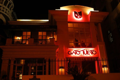 Havana Gato Tuerto Entertains Tourists