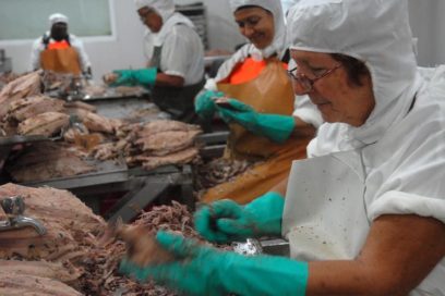 Reconocimientos a las mujeres trabajadoras