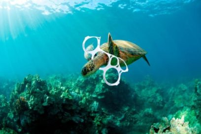 Se acelera degradación de océanos y mares