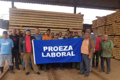 La Agroforestal Matanzas se endereza