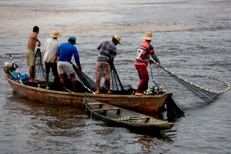 medio ambiente, pesca