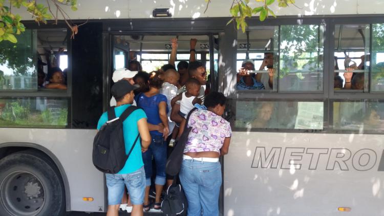 En los meses de julio y agosto la situación con el transporte en la capital es demasiado difícil. Foto: De la autora