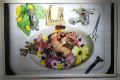 Entre la vida y la muerte… la belleza (+ Fotos)