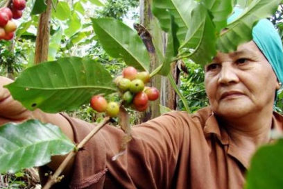 Un café con La Tanias