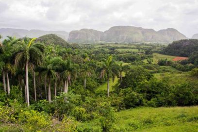Sitios geológicos evidencian preservación ambiental en Cuba