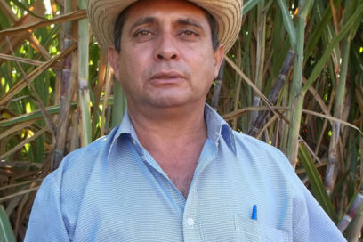 “Meterle caña”
