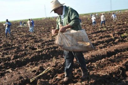 Amplias actividades previas a Conferencia provincial de la CTC en Villa Clara