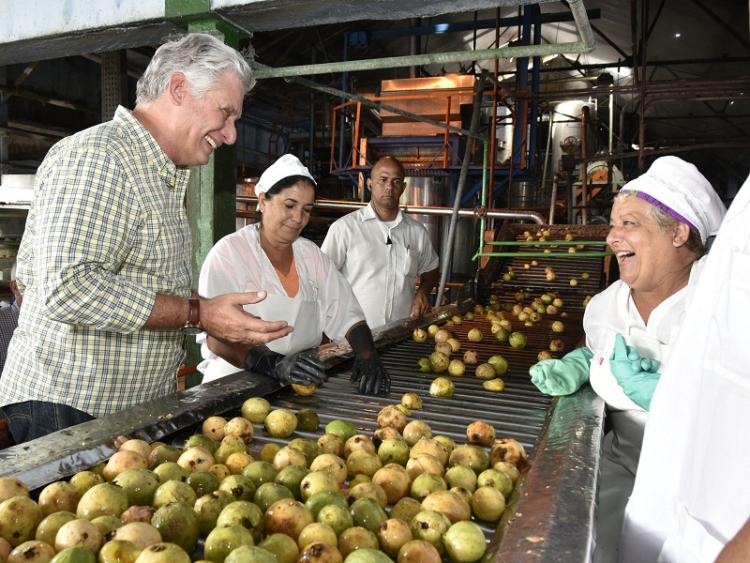 Díaz-Canel en la fábrica de conservas La Conchita en Pinar del Río Foto: Estudios Revolución
