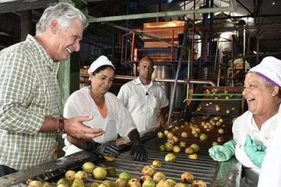 Concluyó visita de Díaz-Canel a Pinar del Río      