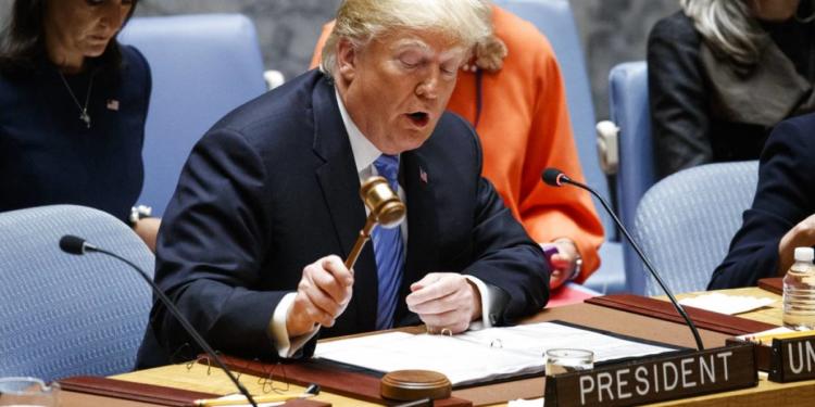Consejo de Seguridad de la ONU