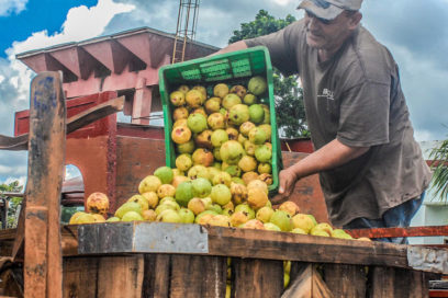 Día del Trabajador Agropecuario: Empresa 19 de Abril, honrosa sede