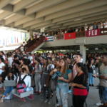 Avispero contra el Bloqueo