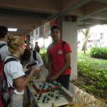 Avispero contra el Bloqueo