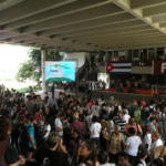 Avispero contra el Bloqueo