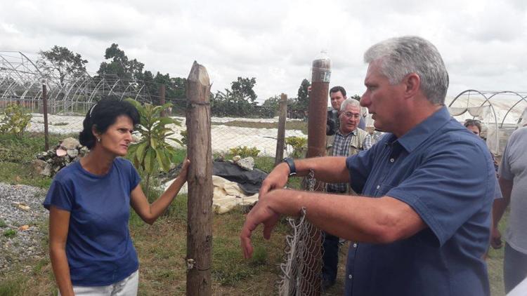 Díaz-Canel en Pinar del Río 3 huracán Michael