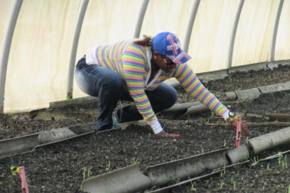 Pinar del Río sigue adelante