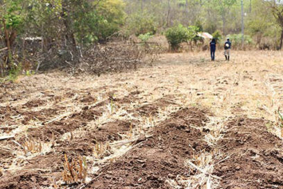 Aprueban proyecto millonario para Corredor Seco de El Salvador