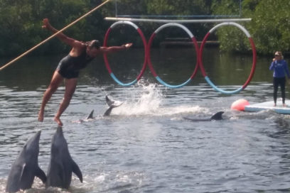 Delfinario de Varadero: ahogar los obstáculos