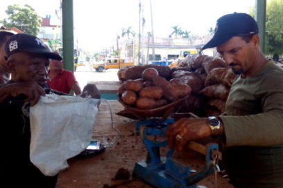 Mercado Estatal Plaza-Cerro: Emblema del comercio de alimentos (+Fotos)