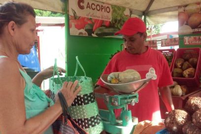 Resultados del quehacer