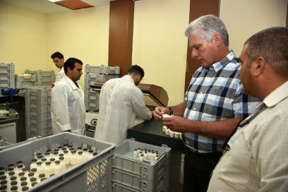 Díaz-Canel prosigue visita de trabajo en Camagüey