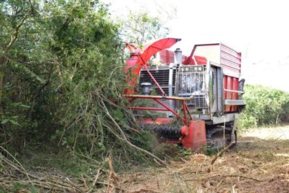 Máquina que come marabú