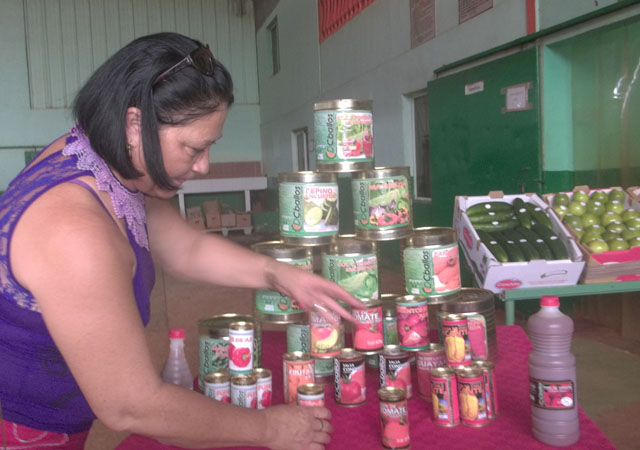 Además de la salsa de ají picante, la UEB produce en su minindustria encurtidos, purés y mermeladas con destino al consumo de la población. Foto: José Luis Martínez Alejo