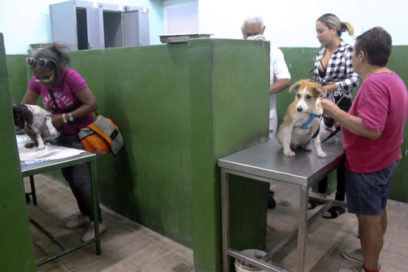 Festejos por el día del veterinario