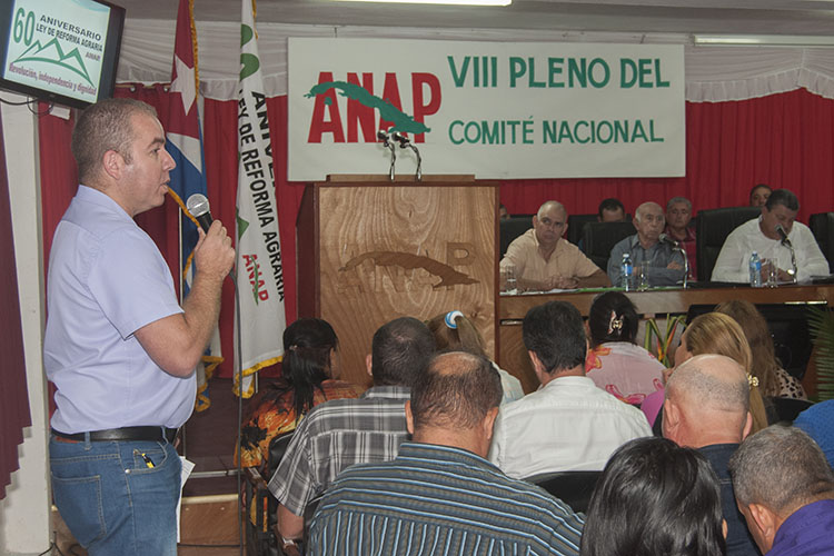 Varias intervenciones ponderaron la asesoría de especialistas y de las direcciones territoriales del Ministerio de Finanzas y Precios y de la Oficina Nacional de Administración Tributaria (Onat). Foto: René Pérez Massola