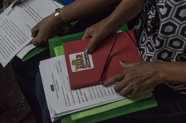 Otros temas examinados fueron el plan de actividades por el aniversario 60 de la promulgación de la Ley de Reforma Agraria y los documentos referidos al enfrentamiento al delito, las ilegalidades, la corrupción e indisciplinas sociales en el sector. Foto: René Pérez Massola