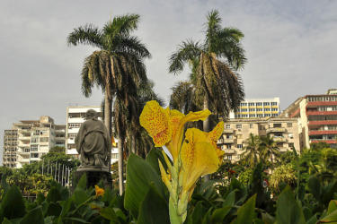 Foto: José Raúl Rodríguez Robleda