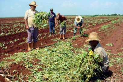 Un impulso voluntario a la economía