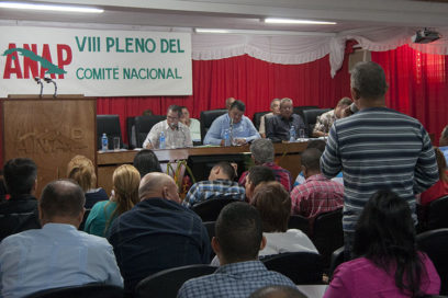 Establecer contratos sobre bases objetivas