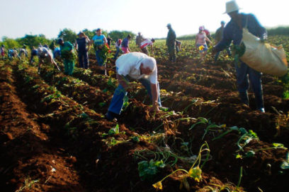 Una jornada memorable por Fidel